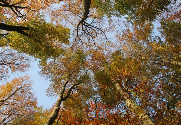Highlights of ecosystem services project in the middle and south of the Netherlands